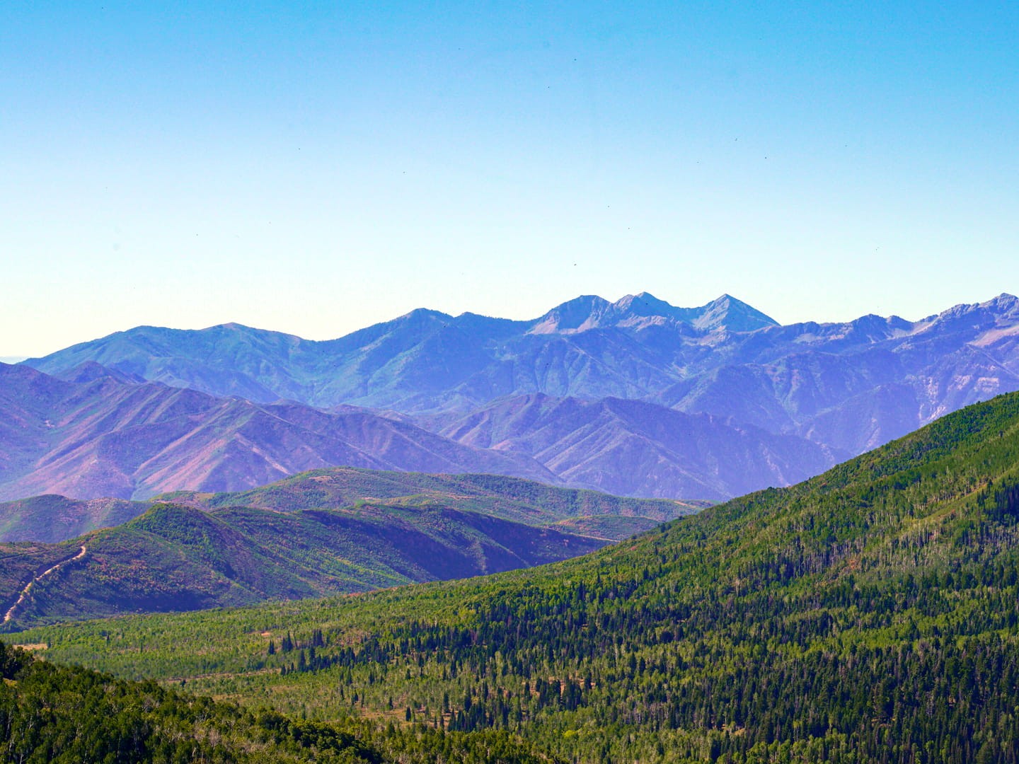 Wide view of rolling green mountains under a clear blue sky, with forested slopes in the foreground.